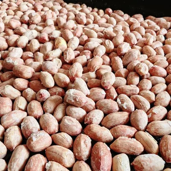 Roasted Salted Peanuts Imported