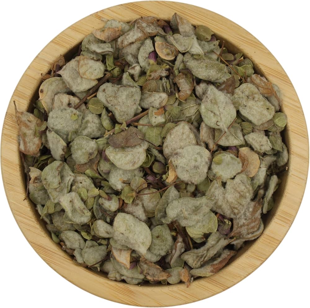 Cretan dittany
