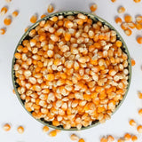 Greek Popcorn - Popcorn
