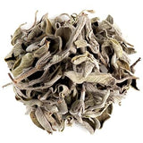 Cretan Sage