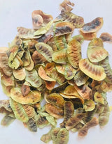 Senna Leaves